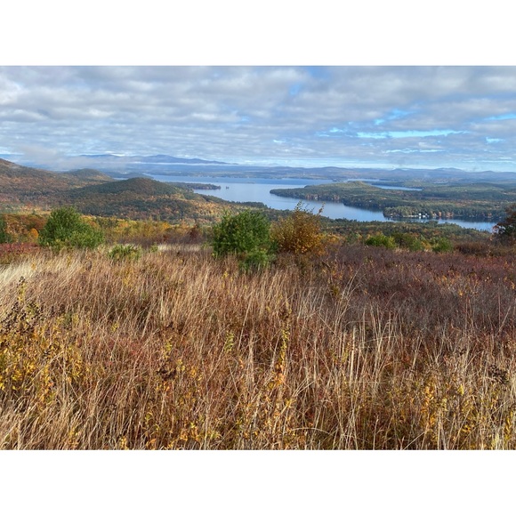 Meet your Posher, Brian - Picture 1 of 1